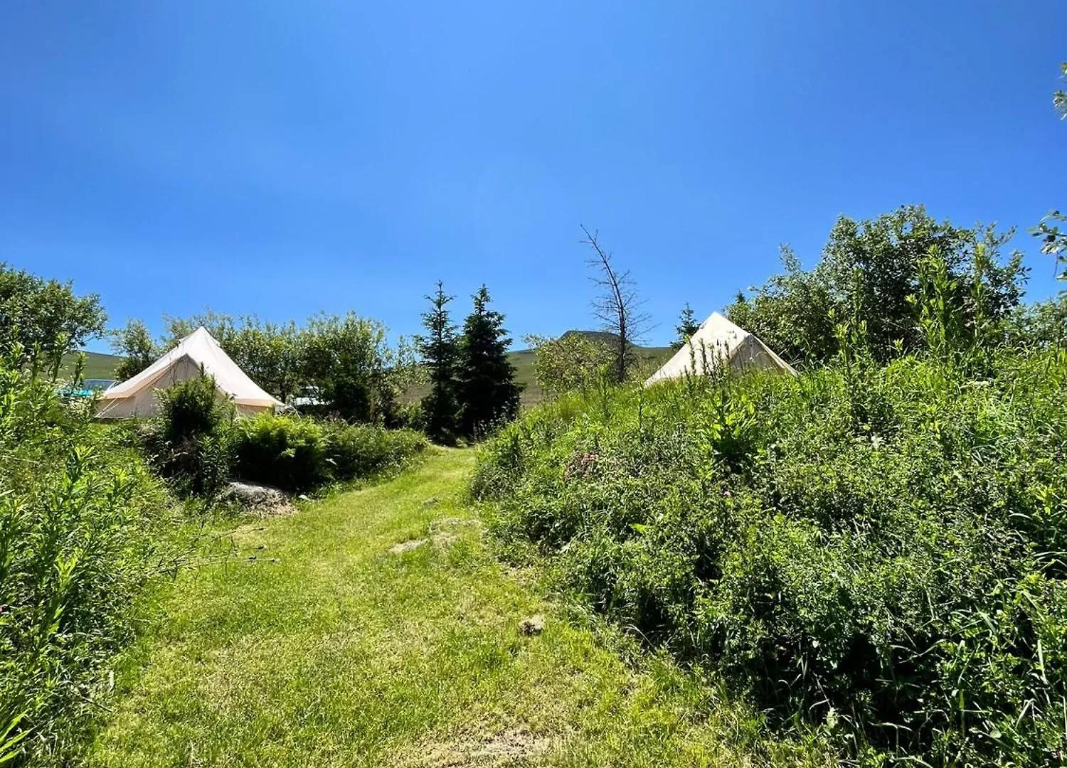 Refuge De La Banne Hotel Murat-le-Quaire